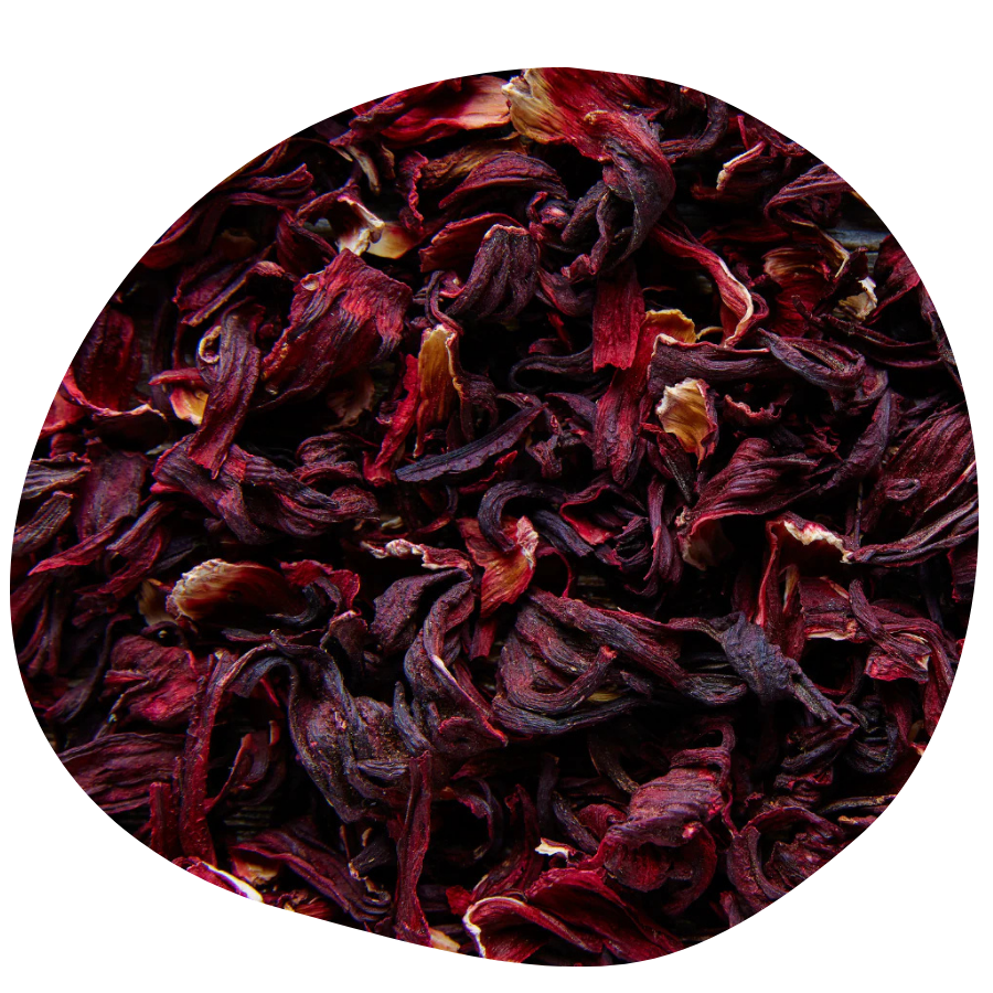 Flor de Jamaica